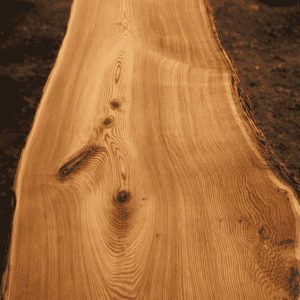 Timber slab showcasing natural grain and finish.