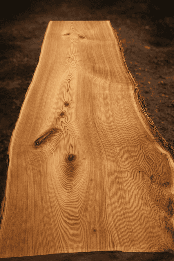 Timber slab showcasing natural grain and finish.